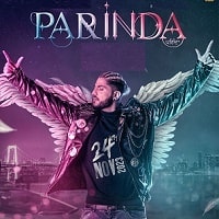 Watch Parinda Paar Geyaa (2023) Online Full Movie Free